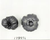 Click for 1 image(s) for this accession. FRUIT